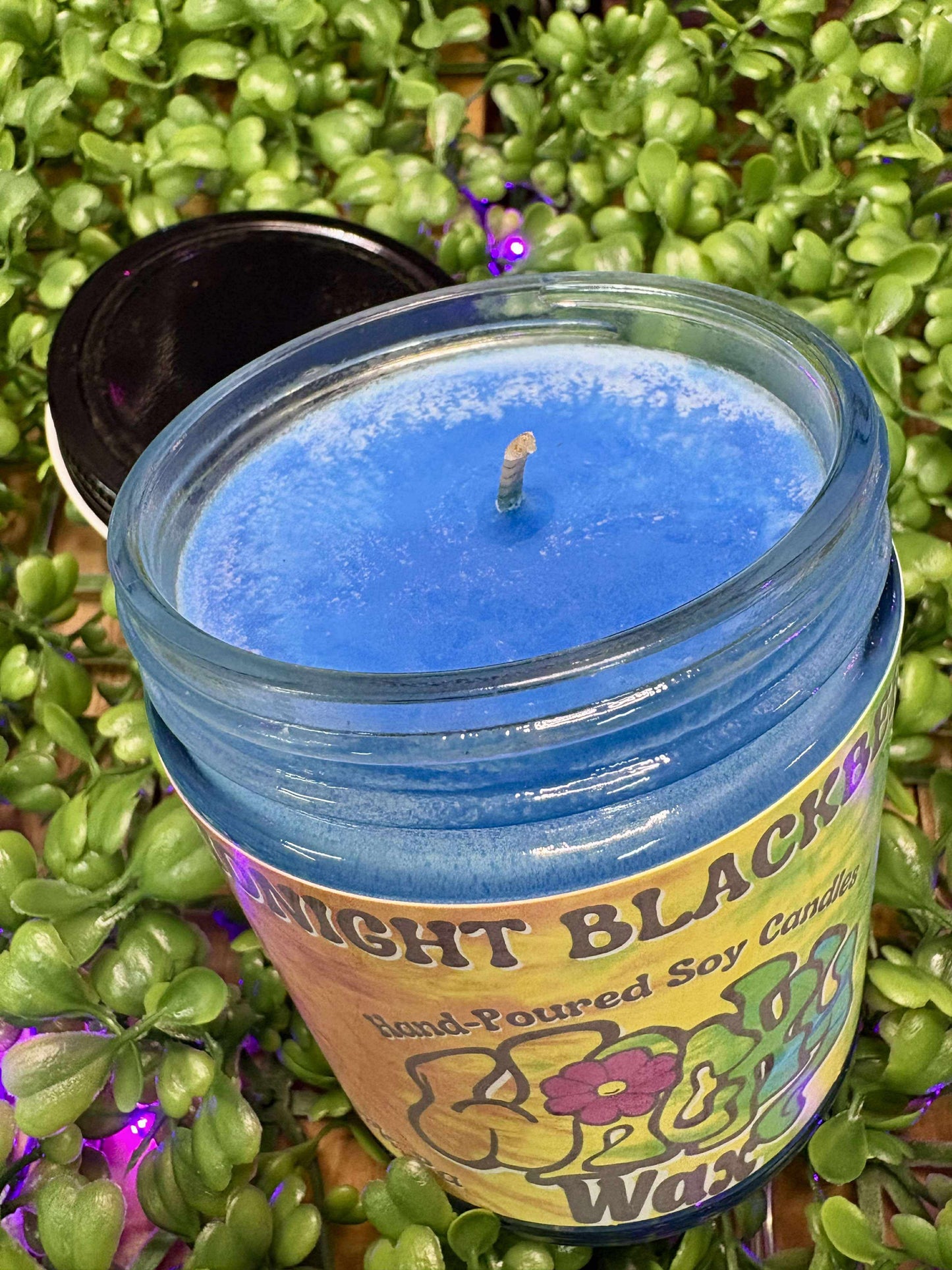 Midnight Blackberry